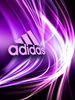 Adidas Purple