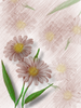 Flowers4 by web750eb