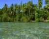 Amazonas