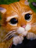 Pussy