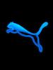 Puma blue