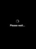 Please wait