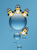 Bubbles