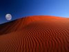 Desert