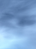 Got Blued