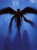 Blue Angel