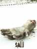Saw