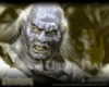 LOTR 114