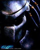 AVP