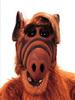 Alf