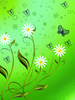 Spring2 by web750eb