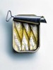 Sardinen