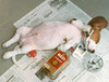 Drunken Dog