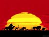 Lion King