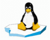 Tux-Eisscholle