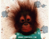 Baby-Affe