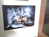 EF81 Indoor 02
