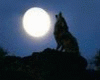 Werewolf