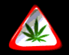 Weed