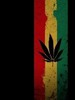 Marihuana