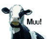 Muuu-Kuh