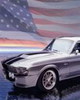 ShelbyUSA