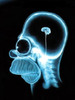 Homer Sapiens