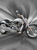 Gray Harley