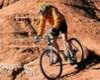 Mountain-Bike