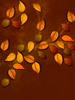 Autumn by web750eb