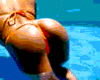 Nettefr0