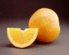 Fruit-Orange