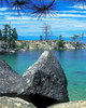 Lagoon