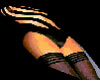 wolford4