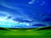 WinXP