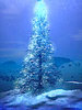 Snow Tree