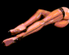 Sexylegs