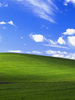 WinXP