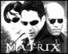 Matrix-3Heads