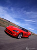 Viper