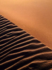 Desert