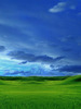 WinXP