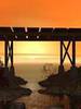 Bridge2