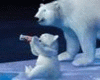 CocaColaIceBear2