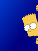 Bart Head