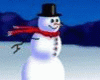 Schneemann-Snowman