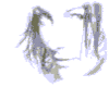 shimmer0